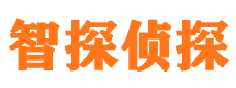 高陵侦探公司